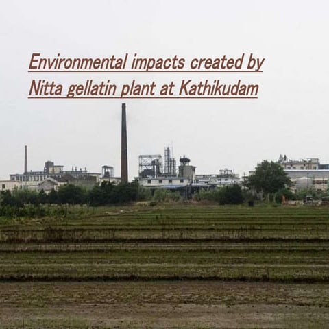 environmental impact created by nitta gelattin at kathikudam