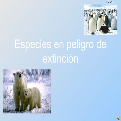 Animales en extinción