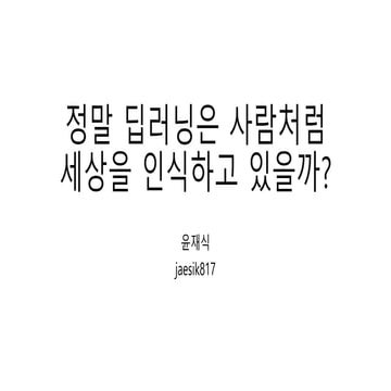 정말 딥러닝은 사람처럼 세상을 인식하고 있을까?