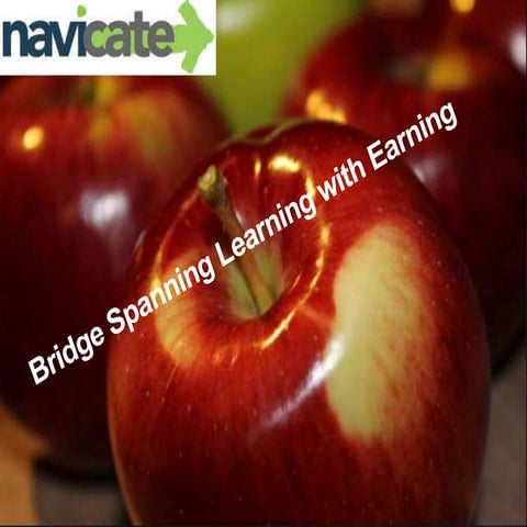 Navicate Development Director 