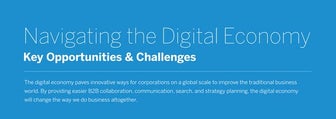 Navigating the Digital Economy Infographic