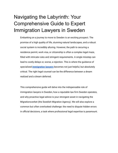 Navigating the Labyrinth_ Your Comprehensive Guide to Expert Immigration Lawy...
