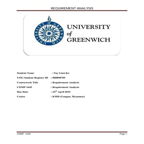 NayLinnKo Information Requirements Analysis BIT