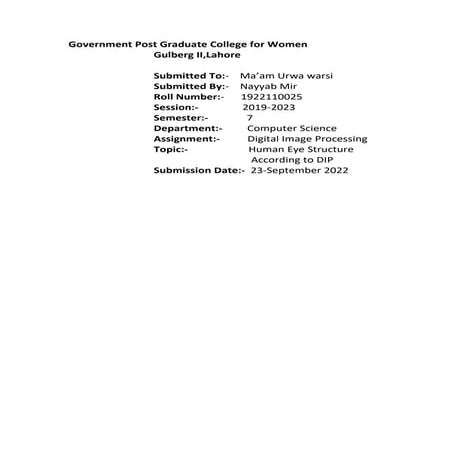 Nayyab Mir 1922110025.pdf