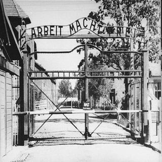 Nazi Experimentation And Treatment ...