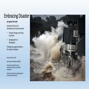 Embracing Disaster_RIFMA2016