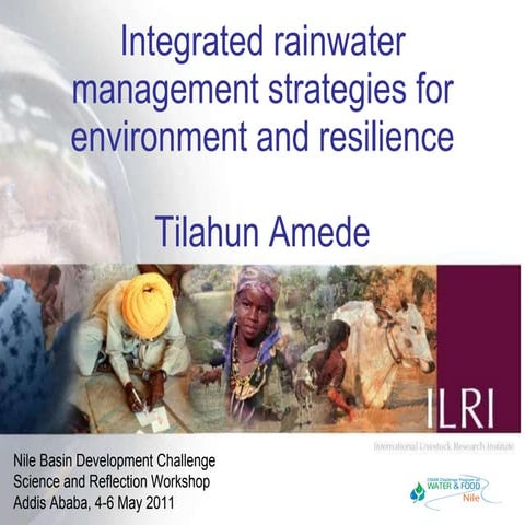 Integrated rainwater management strategies for environment and resilience