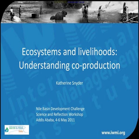 Ecosystems and livelihoods: Understanding co-production