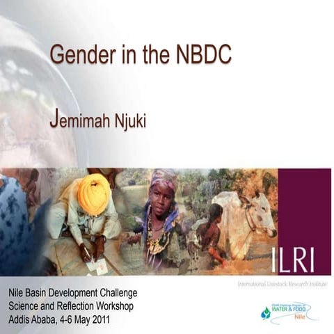 Gender in the NBDC