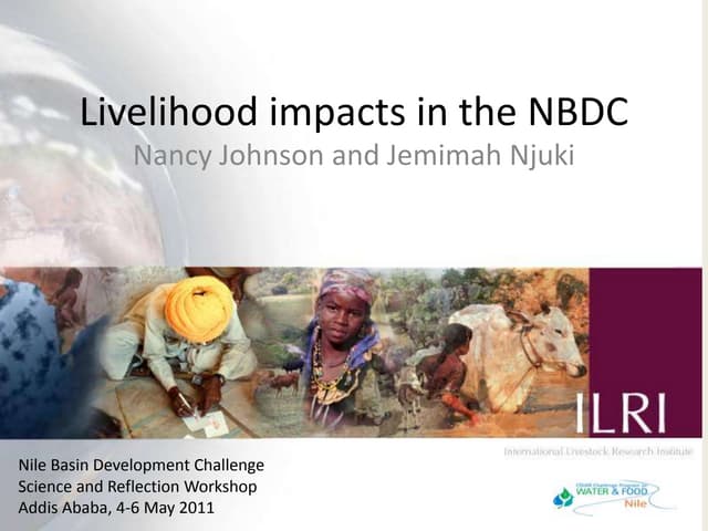 Livelihood impacts in the NBDC