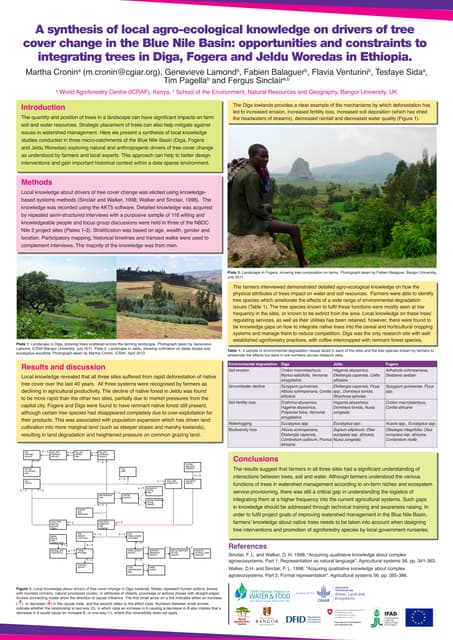 A synthesis of local agro-ecological knowledge on drivers of tree cover change in the Blue Nile Basin: Opportunities and constraints to integrating trees in Diga, Fogera and Jeldu Woredas in Ethiopia
