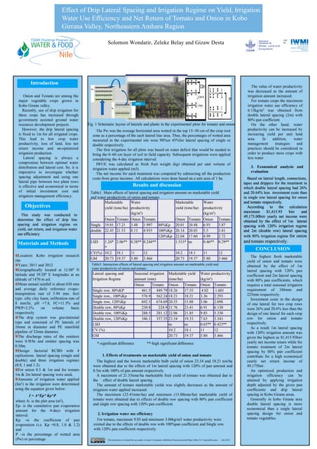 Effect of drip lateral spacing and irrigation regime on yield, irrigation water use efficiency and net return of tomato and onion in Kobo Girrana Valley, northeastern Amhara Region