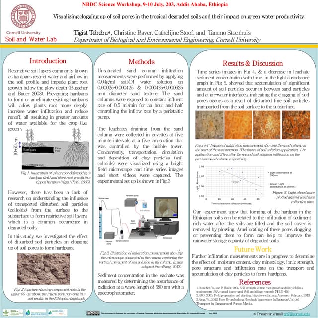 Visualizing clogging up of soil pores in the tropical degraded soils and their impact on green water productivity