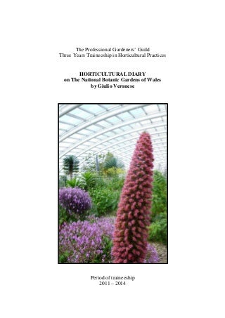 Dreaming Of Do Succulents Grow Bigger