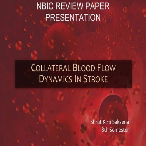 Collateral Blood Flow Dynamics in Stroke