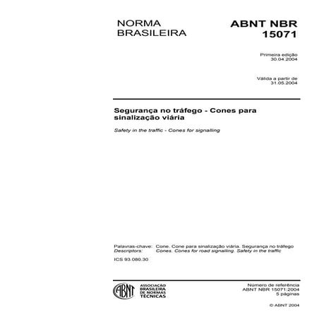 Nbr 15071 04 2004 - cones