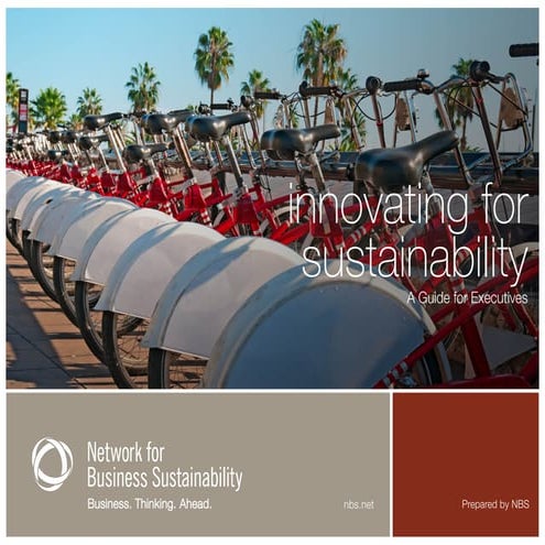 Innovating for Sustainability: A Guide for Executives