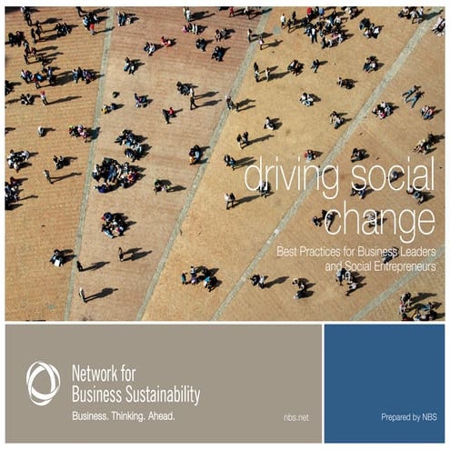 Driving Social Change: Best Practices for Business Leaders and Social Entrepr...