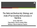 National Biodiversity Strategies & Action Plans 2.0: Lessons learned (Namibia)