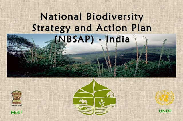 Biodiversity Conservation, Sustainability, and Equity: Outcomes of India's NBSAP Process 2000-2003