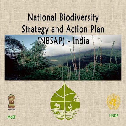 Biodiversity Conservation, Sustainability, and Equity: Outcomes of ...
