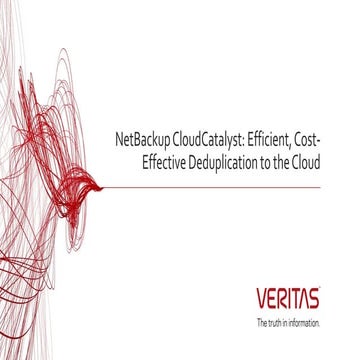NetBackup CloudCatalyst: Efficient, Cost-Effective Deduplication to the Cloud