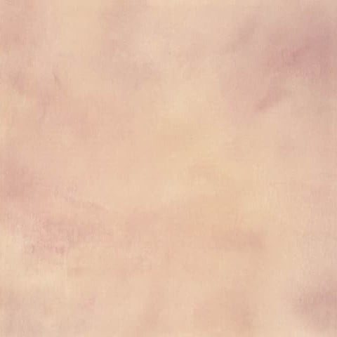 Nisto Cremos Capítulo 27