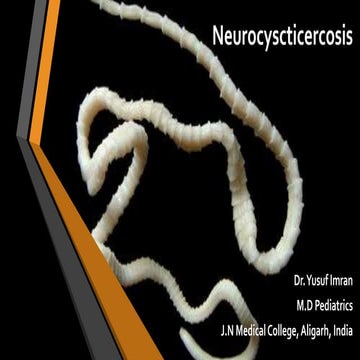 Neurocysticercosis
