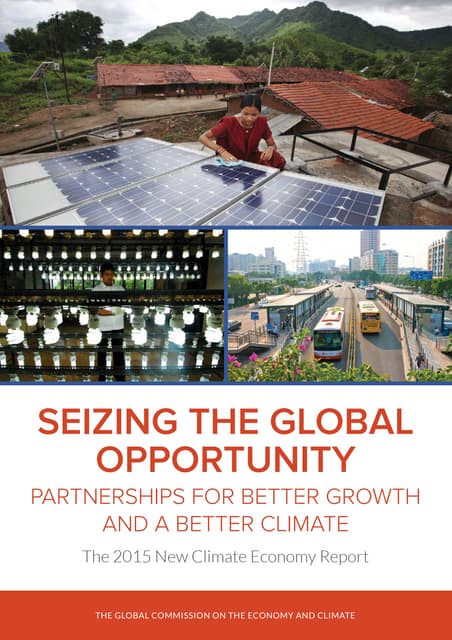 Seizing the Global Opportunity: Partnerships for Better Growth and a Better Climate