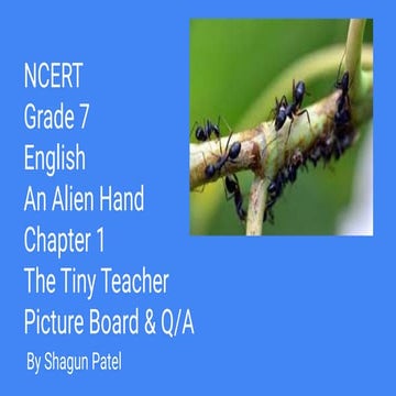 NCERT Grade 7 English An Alien Hand Chapter 1 The Tiny Teacher Picture Board ...