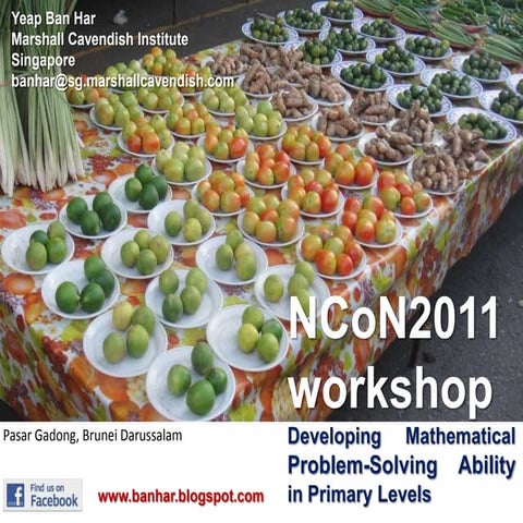 NCoN2011 Brunei 25-26 April 2011 Workshop