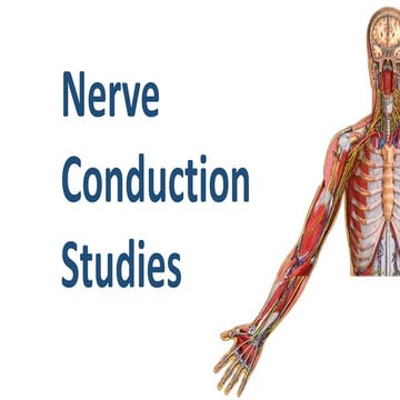 Nerve conduction studies