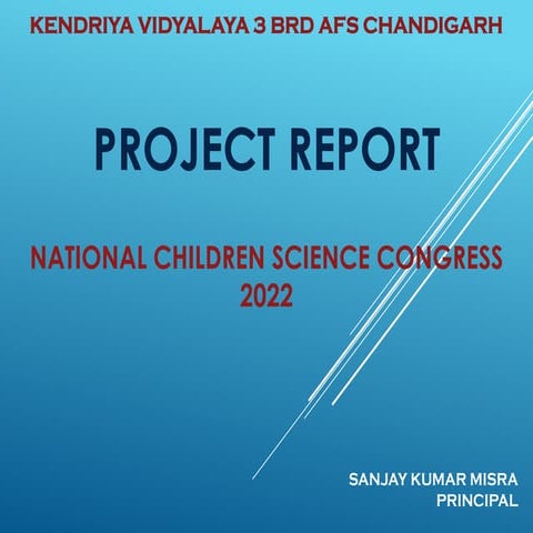 NCSC project report 2022(1)