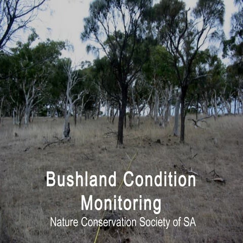 Ncssa bcm-vegetation condition monitoring workshop