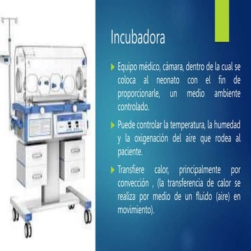 incubadora | PPTX
