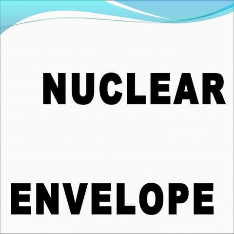 Ncuclear envelope