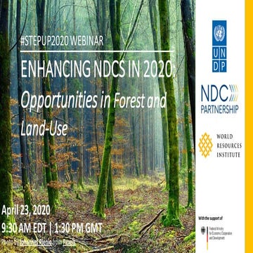 Enhancing NDCs: Opportunities in Forest and Land-use Sector