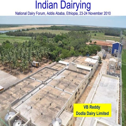 Indian Dairying