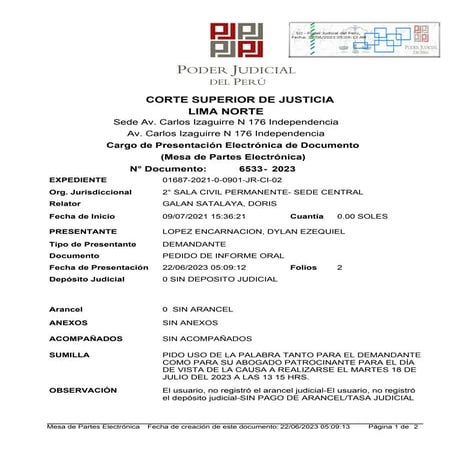 N° Doc 6533-2023; 22 JUN 2023. Pido uso de la palabra. 4p