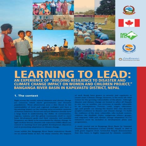 Ndrc brief report_2011_final