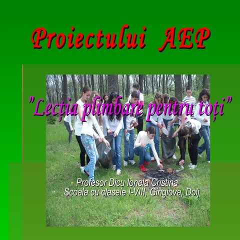 Ne acomodam cu padurea