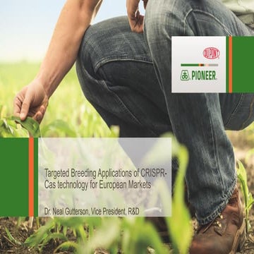 Targetted Breeding Applications Of CRISPR-Cas Technology For European Markets