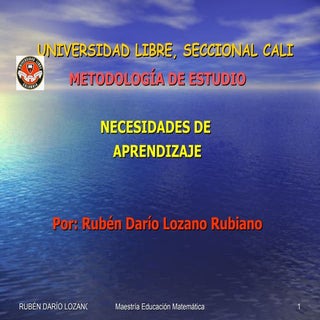 Necesidades de Aprendizaje Rdlr