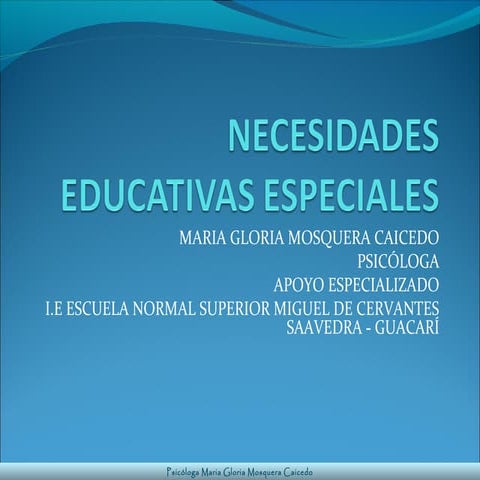 Necesidades educativas especiales 