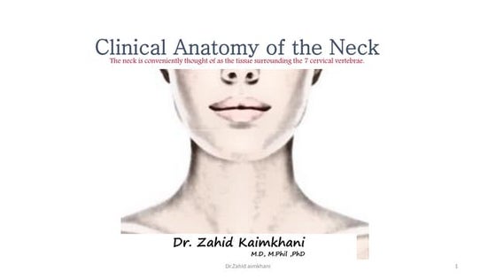 TRIANGLES OF NECK | PDF