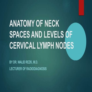 Neck spaces .pptx