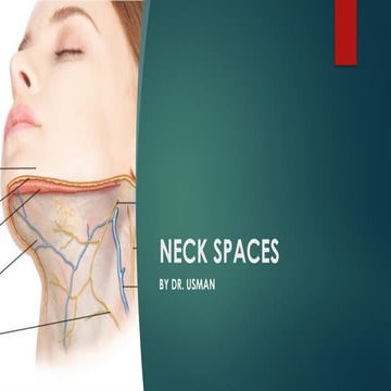 Neck spaces hgfhgkjhkjhjkbbjkbjkbjj.pptx