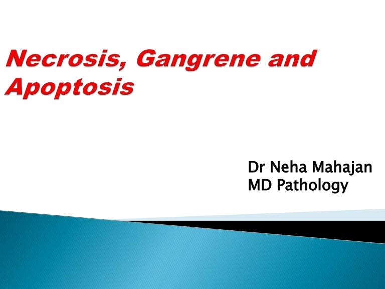 Necrosis Gangrene And Apoptosis