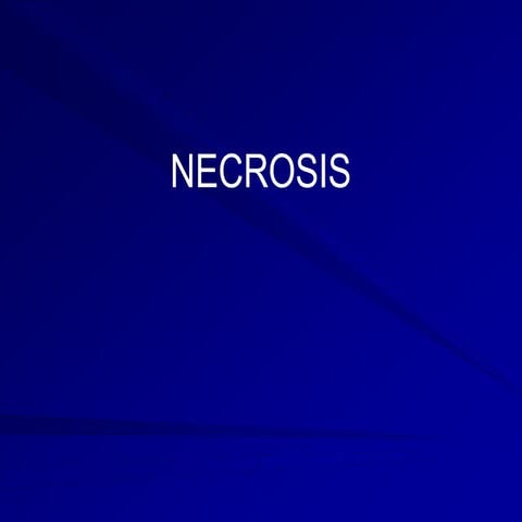 NECROSIS PEDAGOGY.pptx