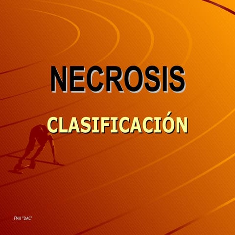 Necrosi sss